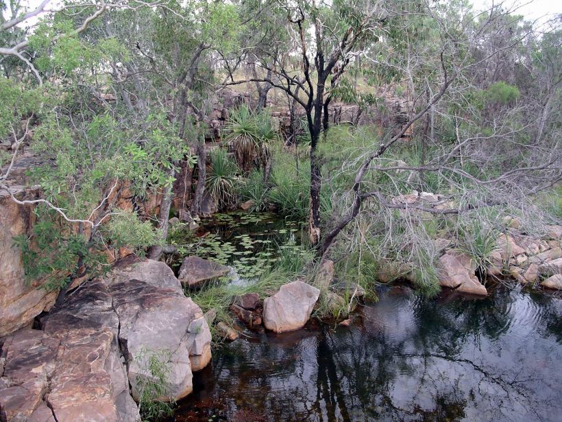 Resize of 05-07-2005 25 Best Garden Setting - Hot Dog Creek Lagoon 2.JPG