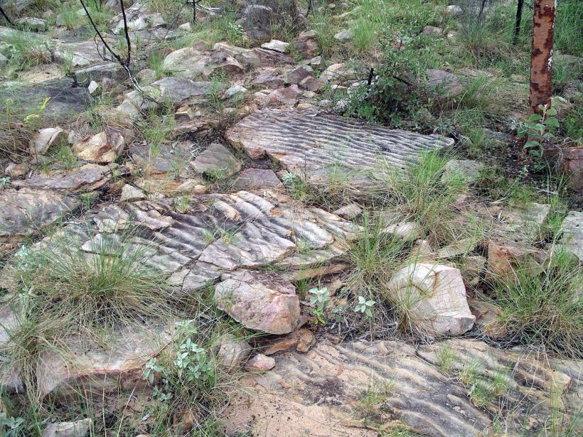 Resize of 05-07-2005 28 Ripple Rocks - Hot Dog Creek.JPG