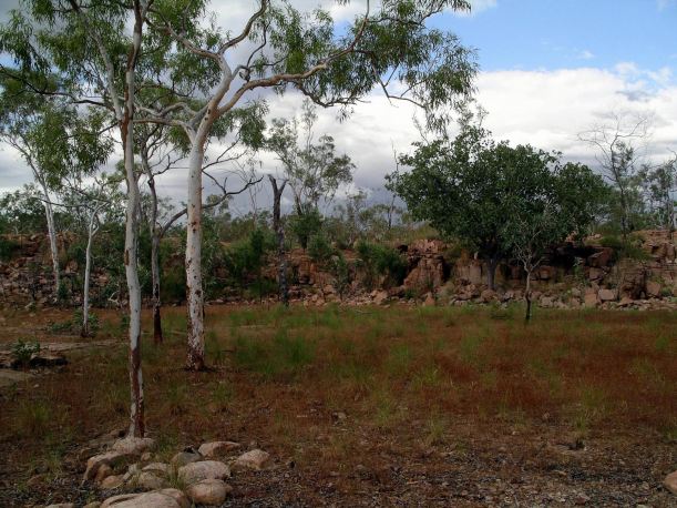 Resize of 05-07-2005 32 Tree Study Hot Dog Creek 2.JPG