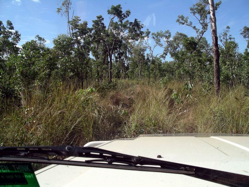 Resize of 05-08-2005 01 Finding Owen.JPG