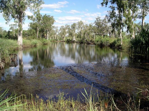 Resize of 05-08-2005 04 Mystery Shovel Lagoon.JPG