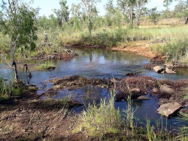 Resize of 05-08-2005 05 Where did Owen Cross.JPG