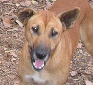 Resize of 05-09-2005 scunge