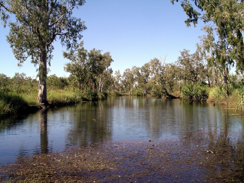 Resize of 05-14-2005 01 Mystery Shovel.JPG