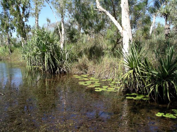 Resize of 05-14-2005 03 Mystery Shovel  3.JPG