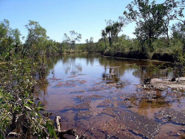 Resize of 05-14-2005 09 Ripple Rock Lagoon Pungalina Creek.JPG