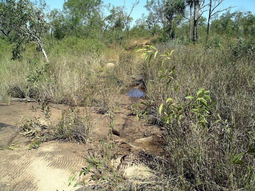 Resize of 05-14-2005 11 Ripple Rock Lagoon and the Track.JPG