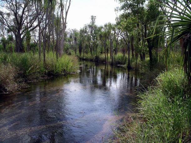 Resize of 06-18-2005 07 Camp Creek Walk 1.JPG