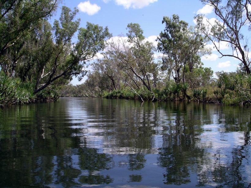 Resize of 08-30-2005 27 Croc Hole 6.JPG