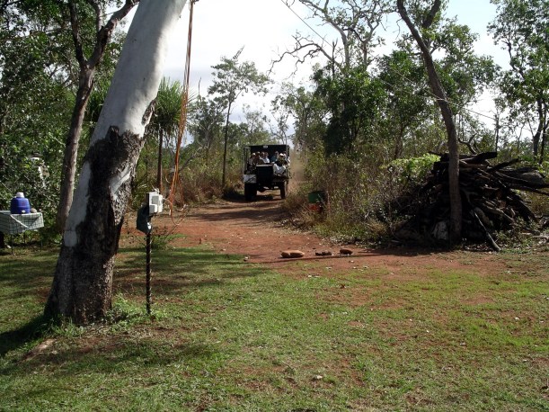 06-20-2005 11 Billy Cart.JPG