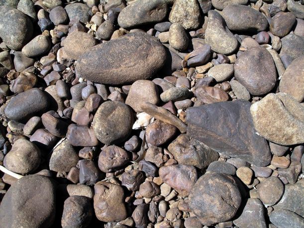 Resize of 05-14-2005 05 Frog in Rock Study.JPG