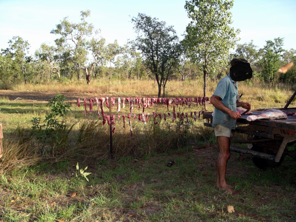 Resize of 05-17-2005 05a  Ding Meat Being Dried on the Fence 2.png