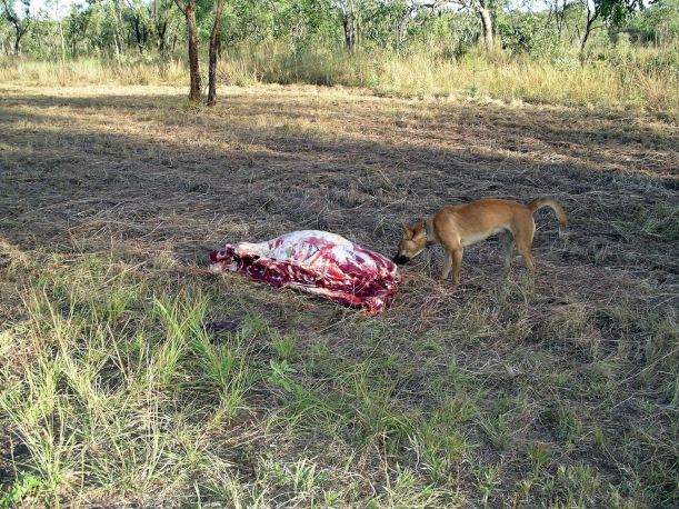 Resize of 05-17-2005 06 Afternoon Tea.JPG