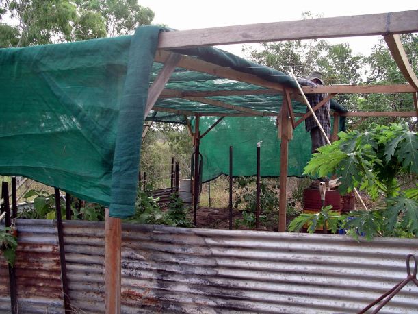 Resize of 05-26-2005 04 Shade Cloth Going On 2.JPG