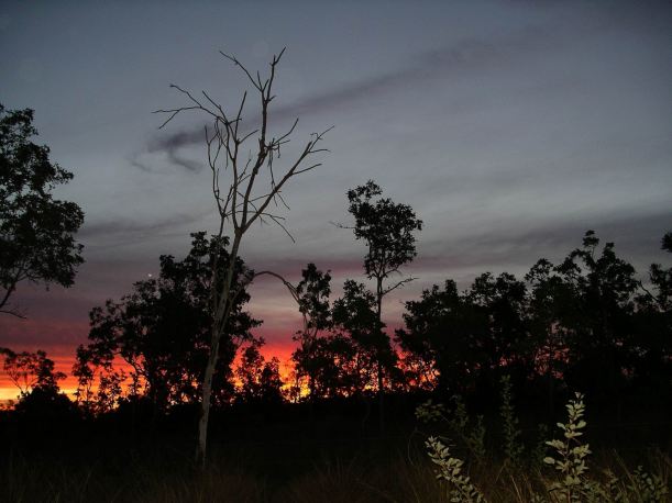 Resize of 05-26-2005 12 Late May Sunset 2.JPG