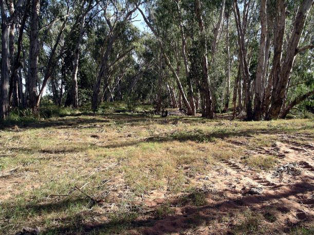 Resize of 05-31-2005 04 The Bluff Camping Area 2.JPG