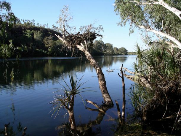 Resize of 05-31-2005 05 Bluff Waterhole.JPG