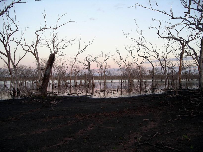 Resize of 06-03-2005 04 Wet Lands June