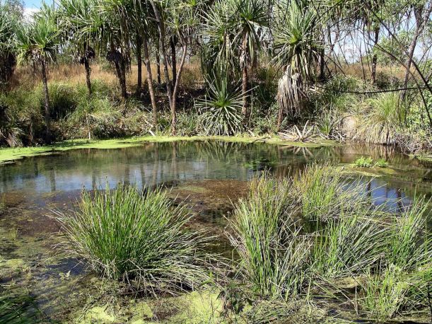 Resize of 06-12-2005 05 Bubbling Sands 2.JPG