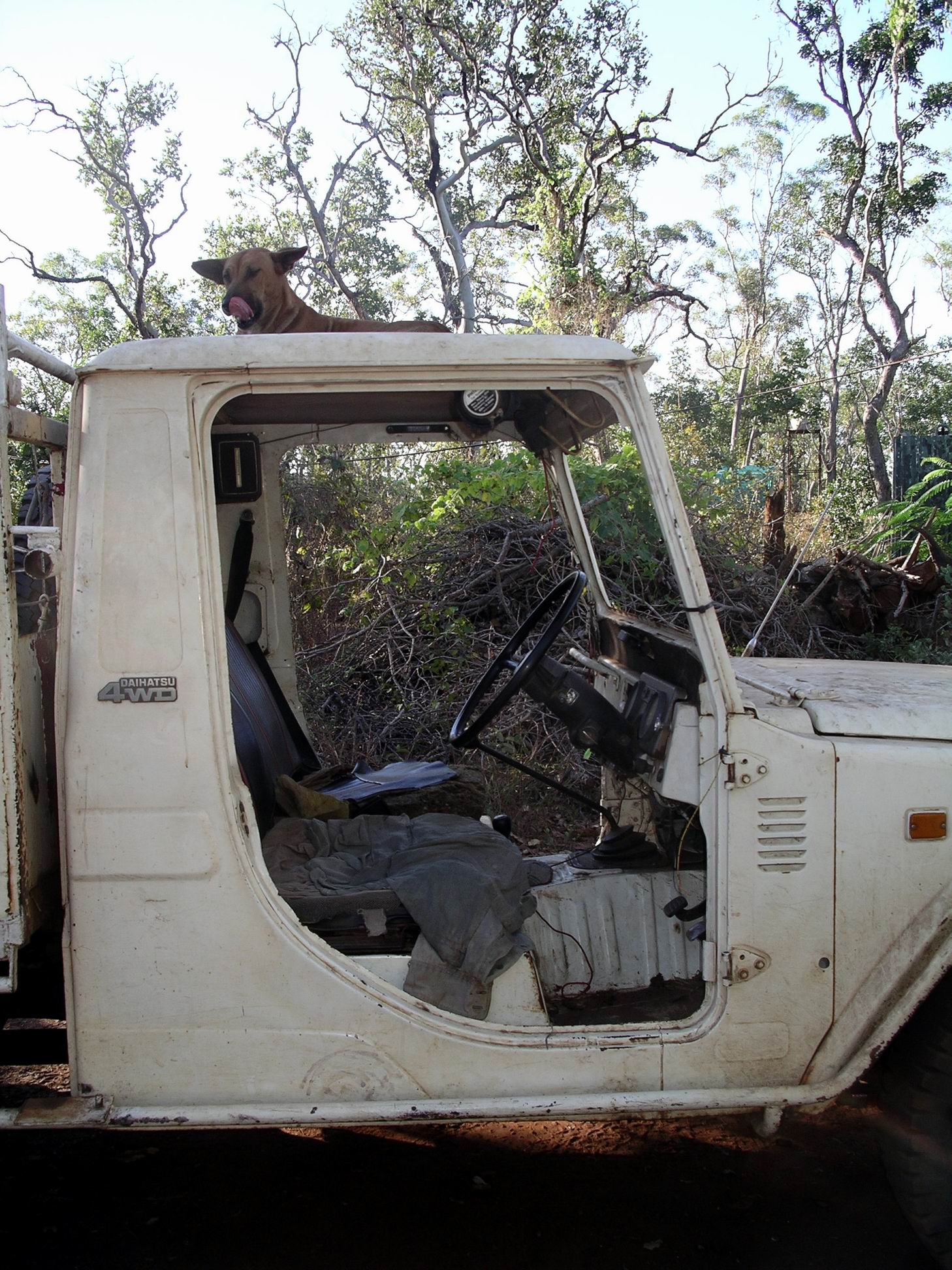 Resize of 06-17-2005 05  I Dinged This 2.JPG