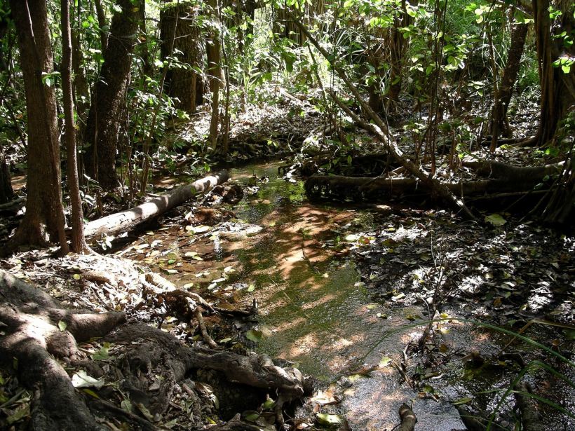 Resize of 06-18-2005 02 Merranna Springs