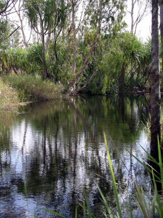 Resize of 06-18-2005 11  Camp Creek Walk 5.JPG