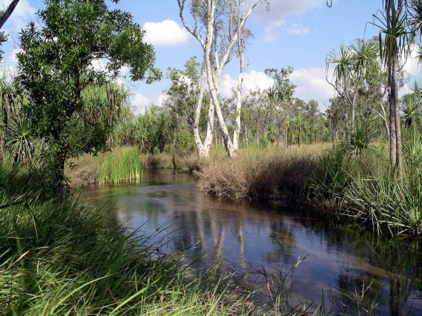 Resize of 06-18-2005 13 Camp Creek Walk 7.JPG