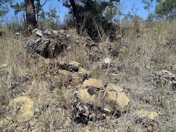 Resize of 08-08-2005 06 Stromatolites.JPG
