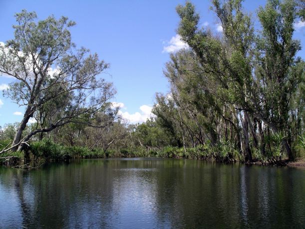 Resize of 08-30-2005 24 Croc Hole 3