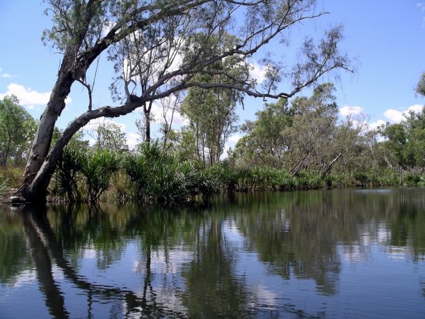 Resize of 08-30-2005 25 Croc Hole 4.JPG