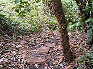 vlcsnap-2015-04-17-20h55m11s229