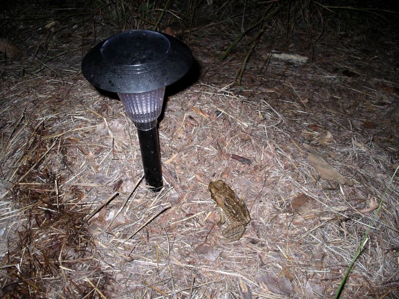 Resize of 05-01-2005 08 Love That Light