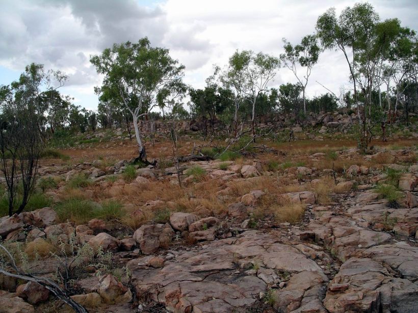 Resize of 05-07-2005 11 Bush Hot Dog Creek