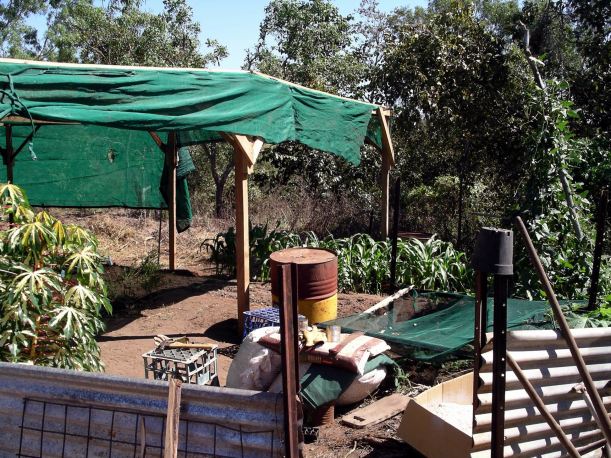 Resize of 05-27-2005 02 Shade Cloth Going On  2.JPG