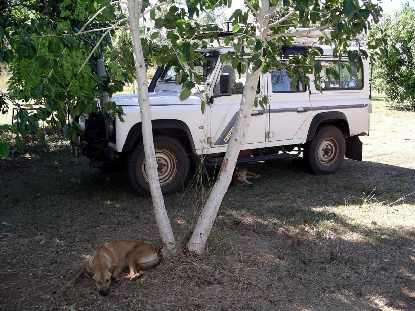 Resize of 05-27-2005 04 Pungalina 6 035.JPG