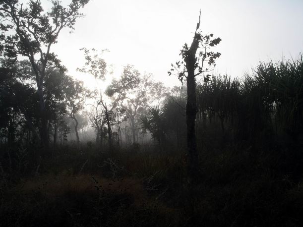 Resize of 06-09-2005 07 Misty Morning 5