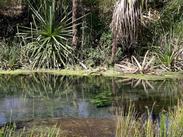 Resize of 06-12-2005 13 Bubbling Sands 10.JPG