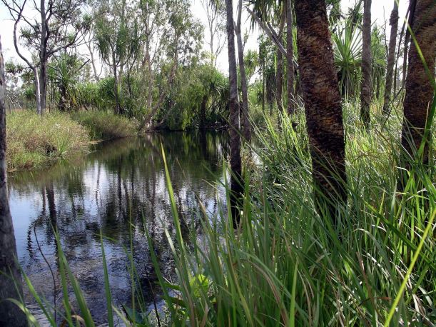 Resize of 06-18-2005 12 Camp Creek Walk 6.JPG