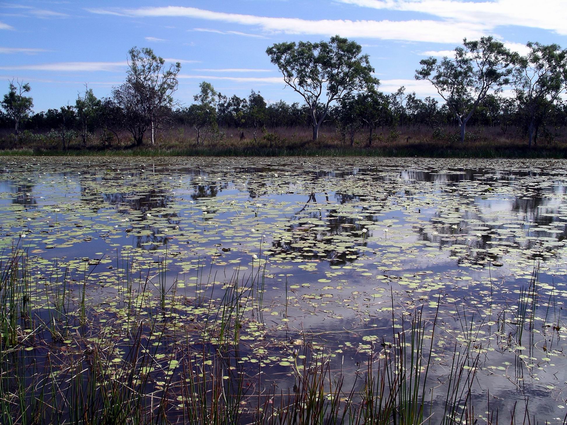 Resize of 06-26-2005 16 Stinking Lagoon 4.JPG