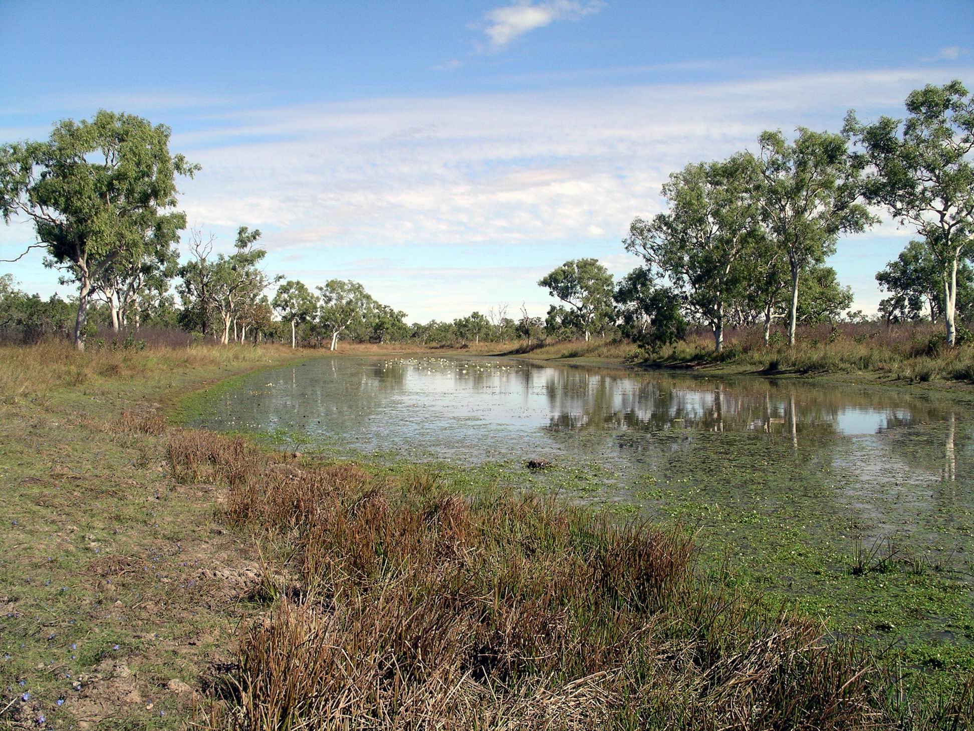 Resize of 06-26-2005 17 Stinking Lagoon 5.JPG