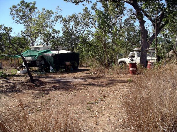 Resize of 06-29-2005 01 Cane Toad Clearing 1.JPG