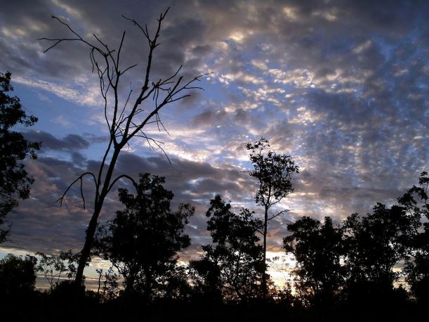 Resize of 07-02-2005 03 July Sky 3.JPG