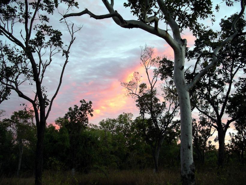 Resize of 07-02-2005 06 July Sky 6.JPG