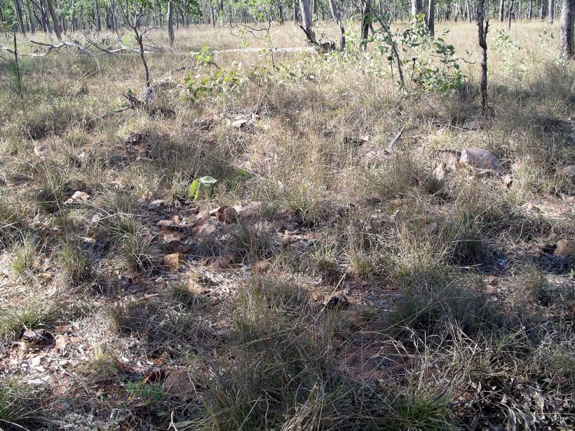 Resize of 07-10-2005 01 Aboriginal Stone Quarry.JPG