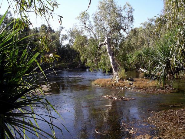 Resize of 07-10-2005 05 Kirkby Waters 3