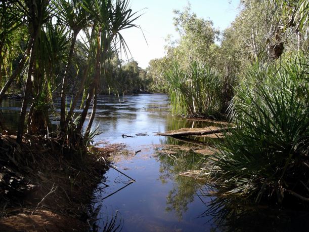 Resize of 07-10-2005 06 Kirkby Waters 4