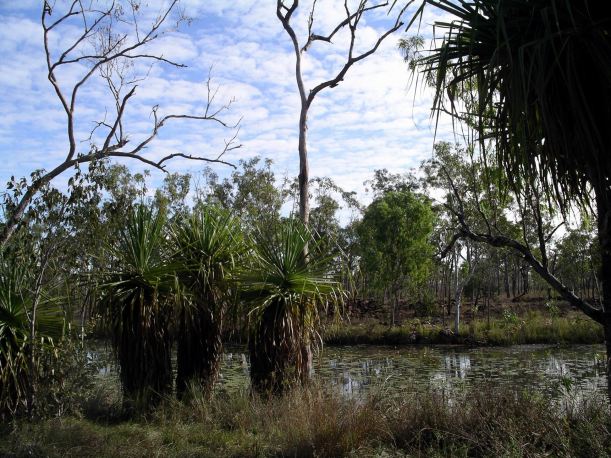 Resize of 07-23-2005 07  creek Ringos Song.JPG