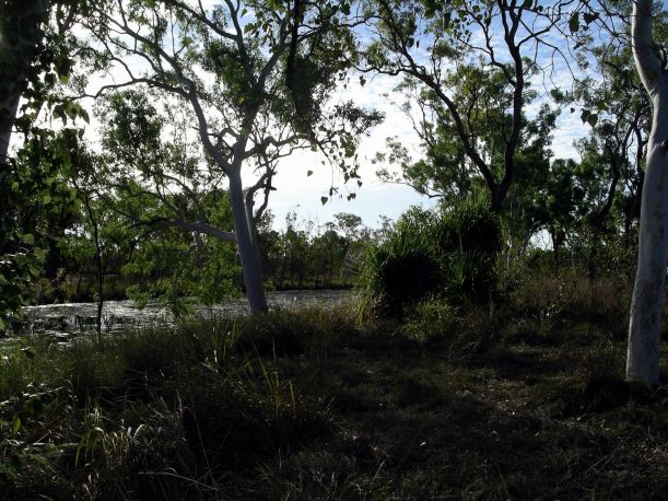 Resize of 07-23-2005 08 creek Ringos Song 2.JPG