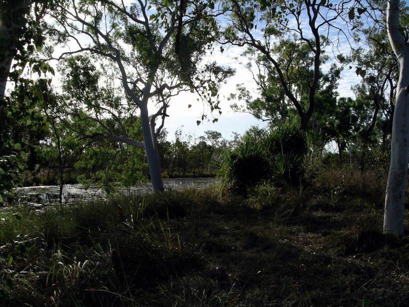 Resize of 07-23-2005 08 creek Ringos Song 2.JPG