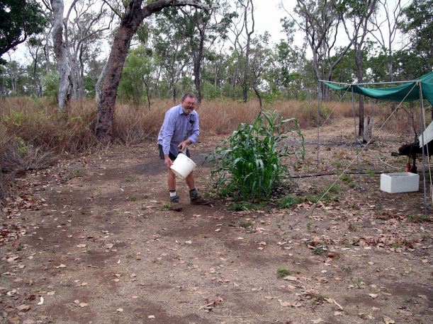 Resize of 07-25-2005 02 John and corn.JPG